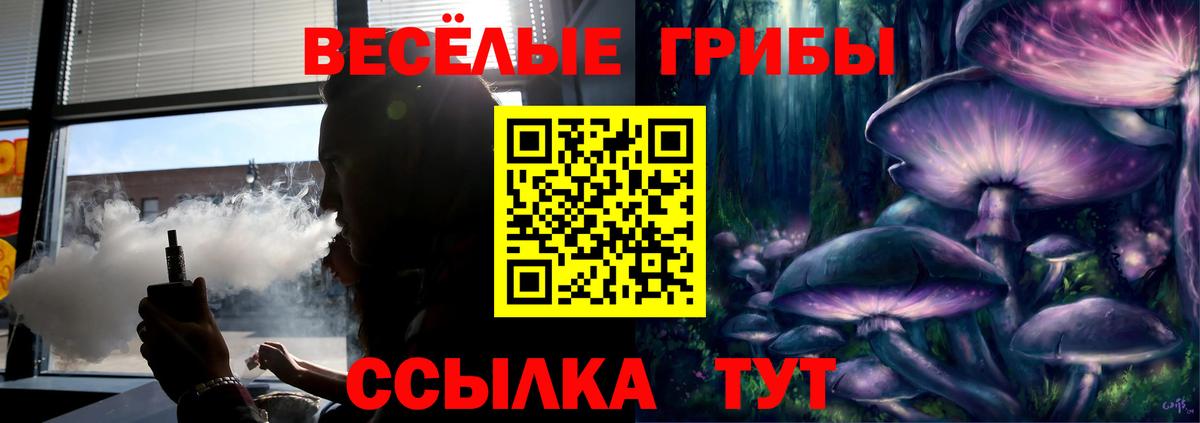 Псилоцибиновые грибы Cubensis Алексин